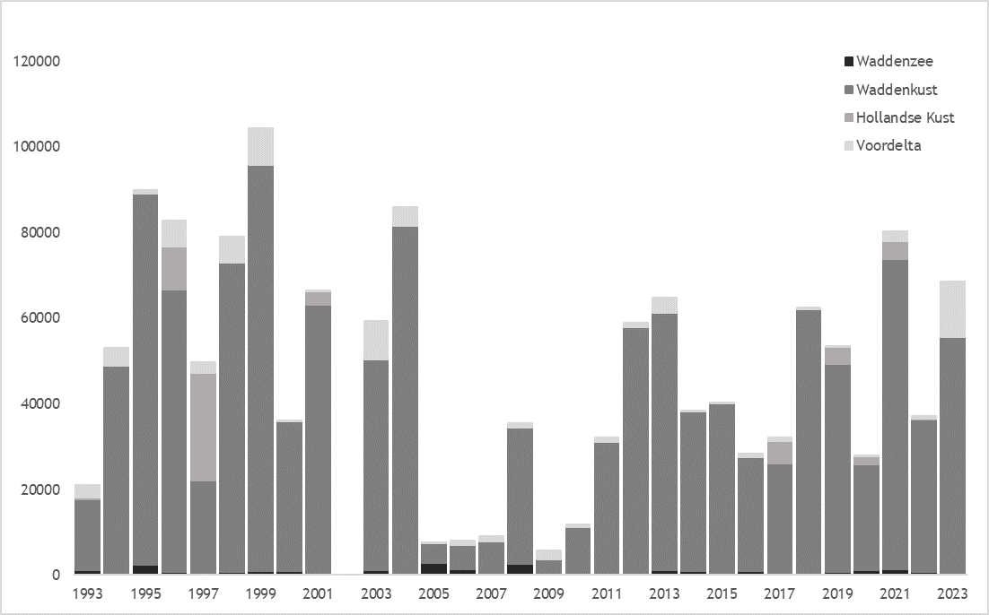 Aantalsverloop van de zwarte zee-eend tijdens de (mid)wintertellingen in 1993-2023 in de Waddenzee en langs de Nederlandse kust.